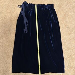 Club Monaco velvet skirt